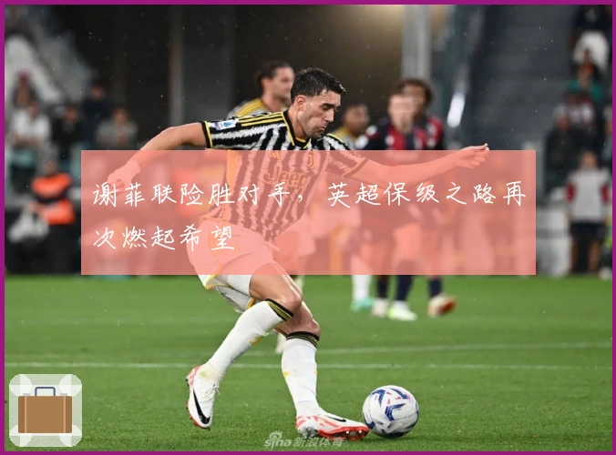 谢菲联险胜对手，英超保级之路再次燃起希望