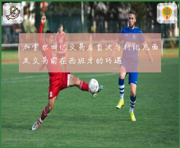 加索尔回忆交易后首次与科比见面及交易前在西班牙的巧遇