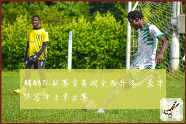 鹈鹕队新赛季备战全面升级，豪华阵容冲击季后赛