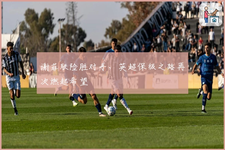 谢菲联险胜对手，英超保级之路再次燃起希望
